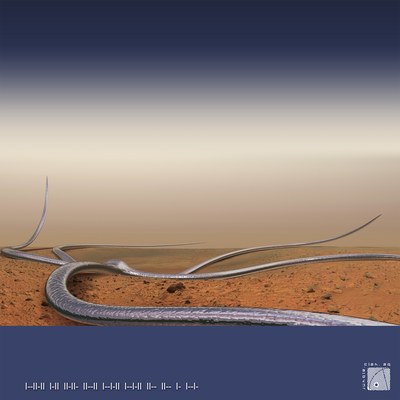 Kattoo Barcode Cover